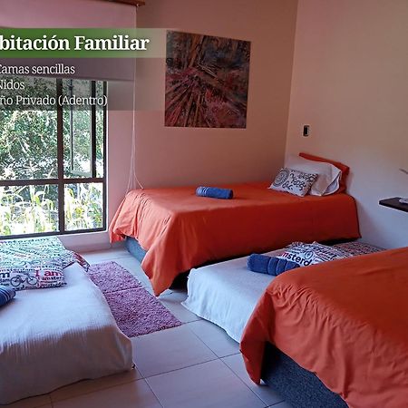 Villa Cucha Монги Экстерьер фото